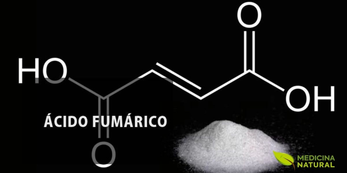 Estrutura química da molécula de ácido fumárico.