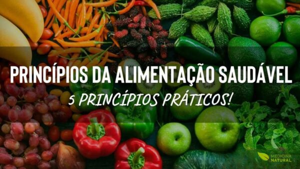 Os princípios da alimentação saudável são conhecidos e constantemente ignorados: água, frutas, cereais, chás e tantas outras opções nutricionais que são corrompidas por alimentos ultraprocessados que imitam ou vêm justamente de alimentos naturais em sua suposta essência.