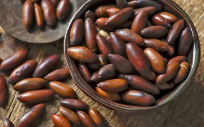 Sementes de cumaru: saiba para que serve
