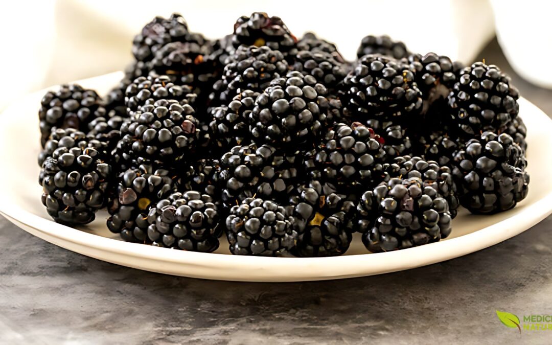 Chá de Amora (Morus nigra): Para Que Serve e Como Preparar