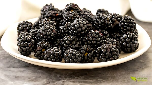 Amora-negra – Rubus nigra