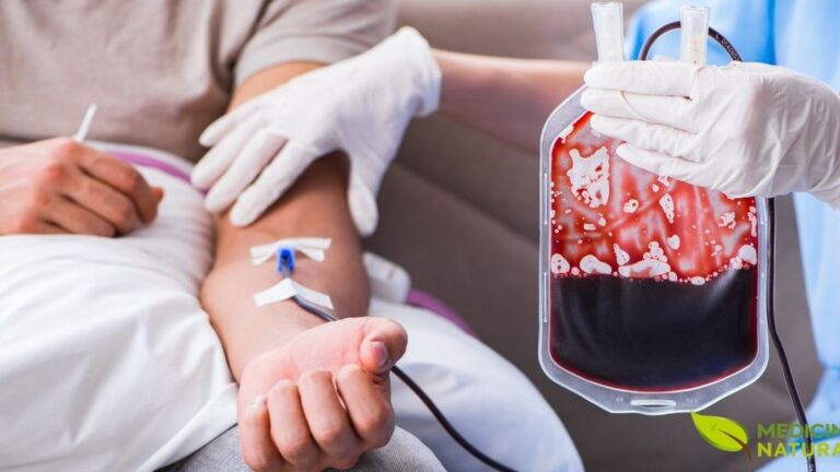 Anemia ferropriva é falta de ferro, e isso reduz hemoglobina, energia e rendimento. O crajiru, também chamado de pariri, é usado tradicionalmente na Amazônia como apoio em quadros de anemia. Algumas análises mostram presença de ferro e compostos fenólicos nas folhas e no chá, o que pode contribuir ao plano alimentar.