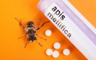 Apis Mellifica: Como Usar o Poder das Abelhas na Homeopatia