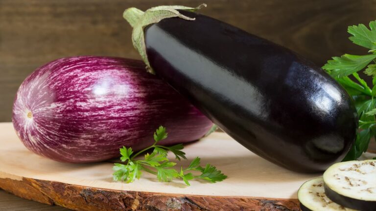 A berinjela (Solanum melongena) é um vegetal rico em nutrientes e compostos bioativos, amplamente reconhecida por seus benefícios à saúde.
