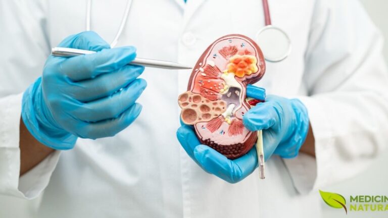 Os rins trabalham 24 horas filtrando o sangue e equilibrando líquidos e sais. Contudo, pouca hidratação, excesso de sal e rotina desregrada podem aumentar o risco de pedras nos rins. Água ao longo do dia, alimentação mais natural e atenção aos sinais do corpo ajudam a cuidar desse sistema silencioso e essencial. Em caso de dor forte, ardência ou sangue na urina, procure avaliação médica.