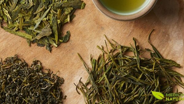 Folhas frescas de Camellia sinensis após a colheita, mostrando sua cor verde vibrante e textura característica. As folhas frescas contêm altas concentrações de catequinas, aminoácidos (especialmente L-teanina), vitaminas e minerais. Para produzir chá verde, as folhas são rapidamente aquecidas (fixação) para inativar as enzimas oxidativas, preservando a cor verde e os compostos antioxidantes. Este processo de fixação pode ser feito através de vapor (método japonês) ou em panelas quentes (método chinês). As folhas são então enroladas e secas para produzir o chá verde final.
