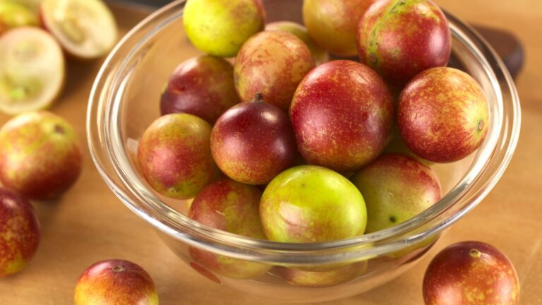 Camu-camu - Myrciaria dubia