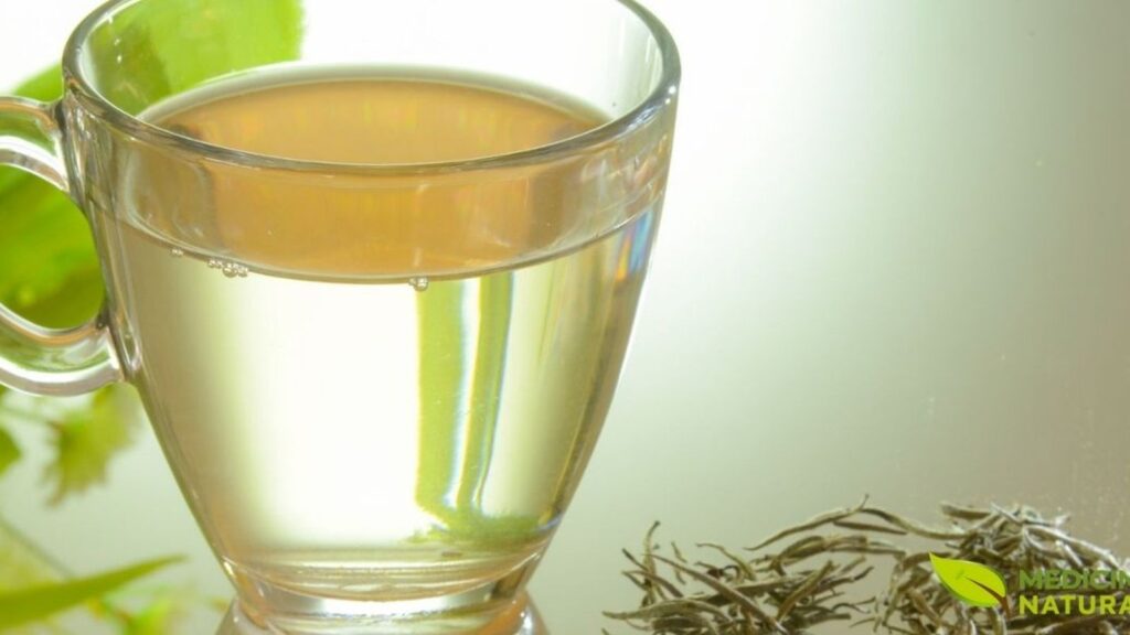 Preparação tradicional do chá branco com bule e xícara, demonstrando a técnica correta de infusão. Use água entre 75-85°C e infusão de 3-5 minutos para extrair sabor delicado sem amargor. O preparo adequado preserva os compostos bioativos e permite múltiplas infusões das mesmas folhas.