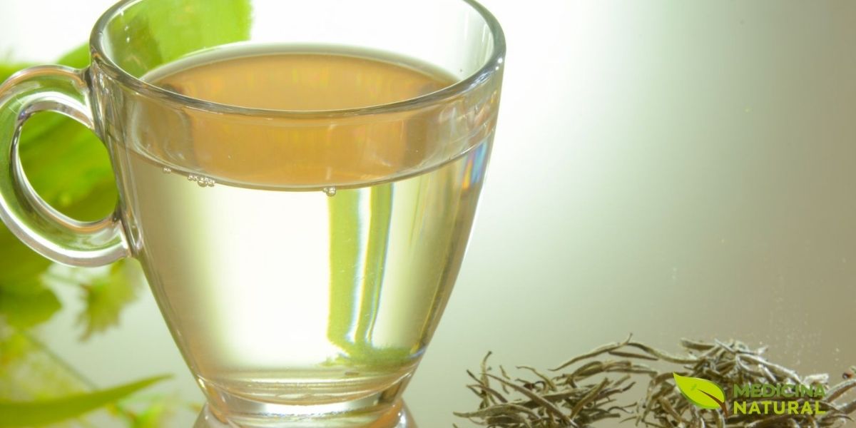 Preparação tradicional do chá branco com bule e xícara, demonstrando a técnica correta de infusão. Use água entre 75-85°C e infusão de 3-5 minutos para extrair sabor delicado sem amargor. O preparo adequado preserva os compostos bioativos e permite múltiplas infusões das mesmas folhas.