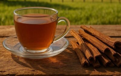 Canela-Sassafrás: Benefícios do Chá da Casca Milagrosa
