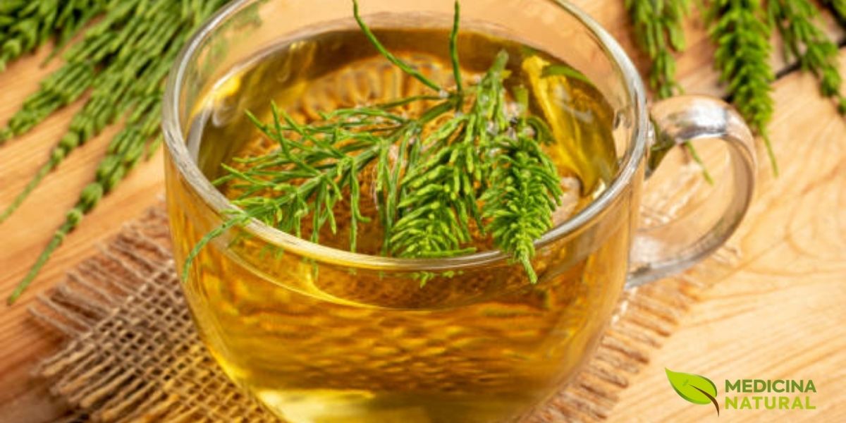Uma xícara de chá de cavalinha fresco pode ser um momento de autocuidado e bem-estar. Seu sabor suave e herbal é apreciado por muitos, além de suas propriedades terapêuticas. Os benefícios do chá de cavalinha para a saúde são vastos, incluindo o fortalecimento das unhas e cabelos, a melhoria da saúde da pele e o auxílio na eliminação de toxinas do corpo.