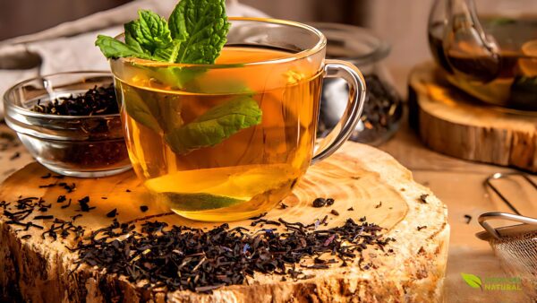 Chá de hortelã-pimenta - Mentha piperita