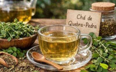 Chá de Quebra Pedra: O Fim das Pedras nos Rins?