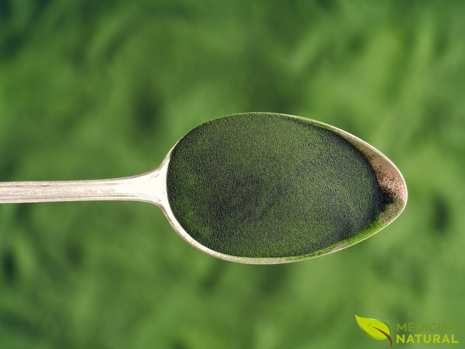 O pó de Chlorella, com sua cor verde profunda, simboliza vitalidade e pureza. Esta imagem captura a essência concentrada da alga, pronta para ser adicionada a smoothies e sucos. É a promessa de um detox natural e um impulso de energia, representando a força da natureza em uma forma acessível e potente.
