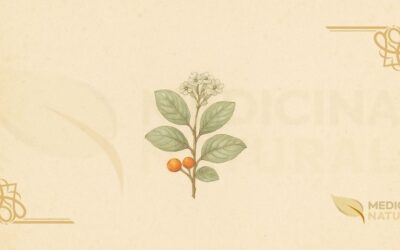 Cordia-Cinza (Cordia sinensis): Guia Completo