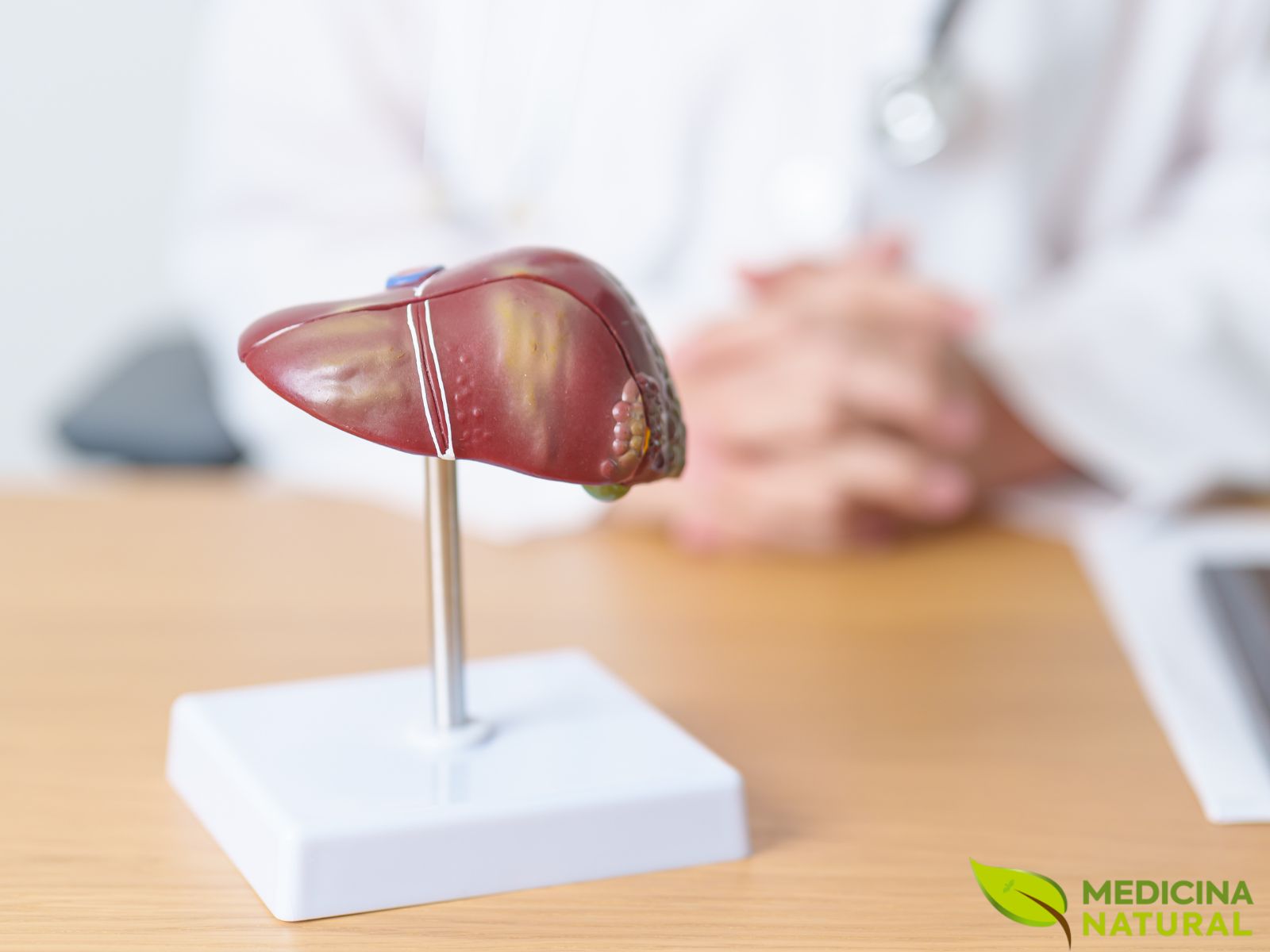 O diagnóstico de gordura no fígado e de esteatose hepática costuma envolver avaliação clínica, exames laboratoriais e métodos de imagem, como o ultrassom. Em alguns casos, outros exames complementares são necessários para verificar inflamação, fibrose ou progressão da gordura no fígado, permitindo uma análise mais precisa do estado de saúde hepática do paciente.