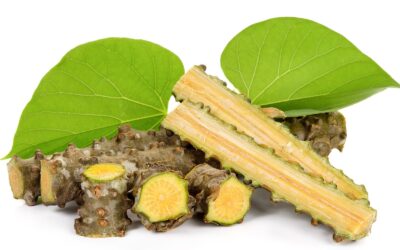 Guduchi: Planta Ayurvédica Para Imunidade e Vitalidade