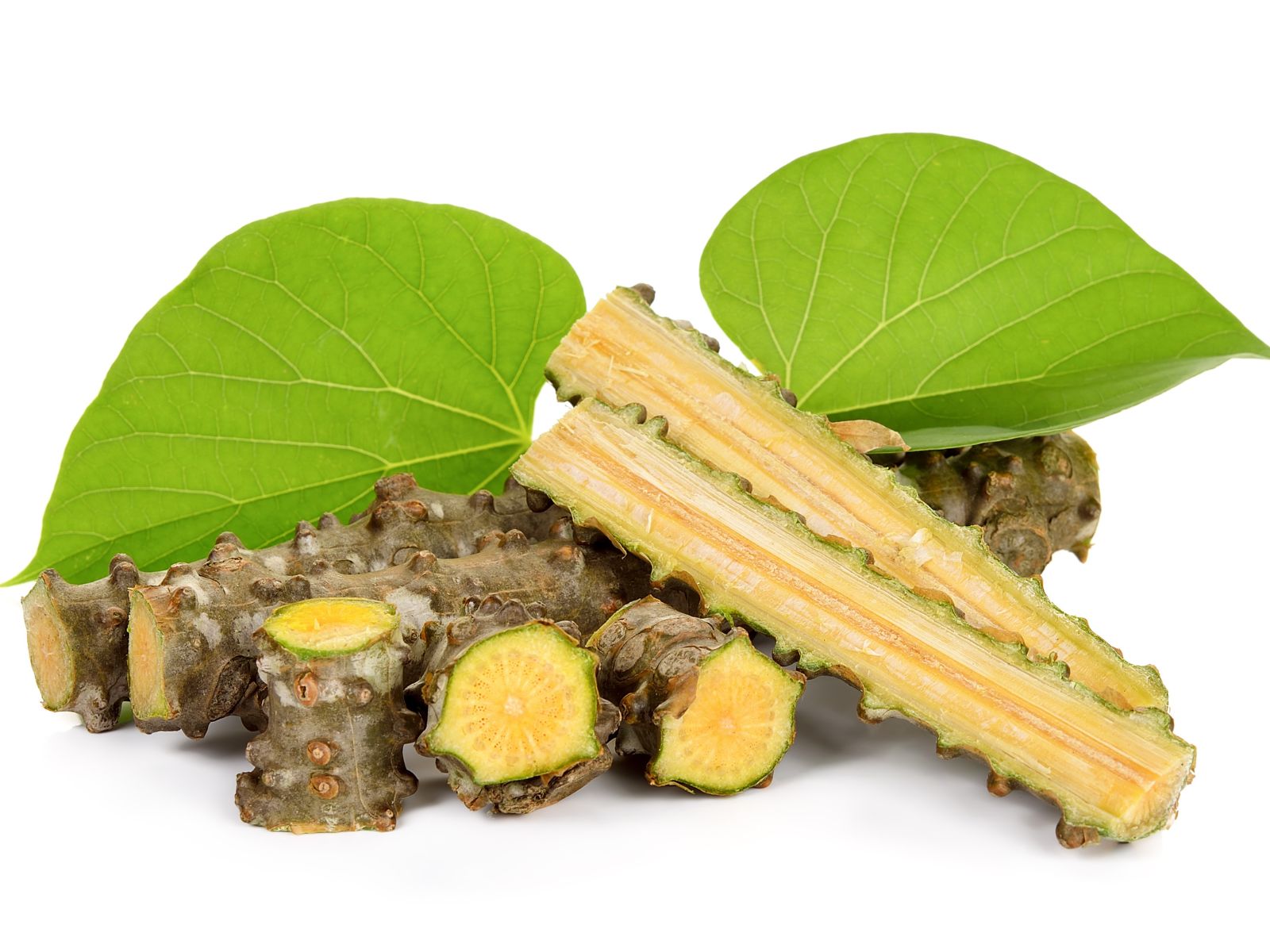 Guduchi - Tinospora cordifolia