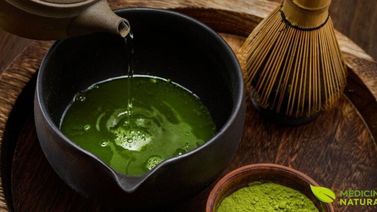 O matcha representa a forma mais concentrada e potente de consumir chá verde. Diferentemente dos chás verdes tradicionais, onde apenas a infusão é consumida, o matcha consiste na folha inteira moída em um pó ultrafino, o que significa que todos os nutrientes e compostos bioativos são ingeridos. Esta característica resulta em uma concentração de catequinas, L-teanina e cafeína significativamente maior do que em chás verdes convencionais. O processo de cultivo do matcha também é único: as plantas são cobertas com telas nas últimas semanas antes da colheita.