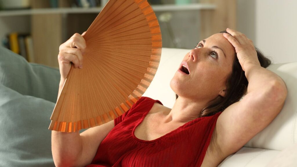 Produtos naturais para menopausa