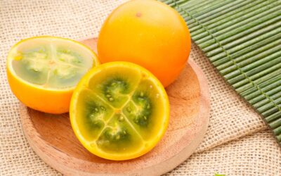 Naranjilla: Guia Completo da Fruta Andina e Benefícios
