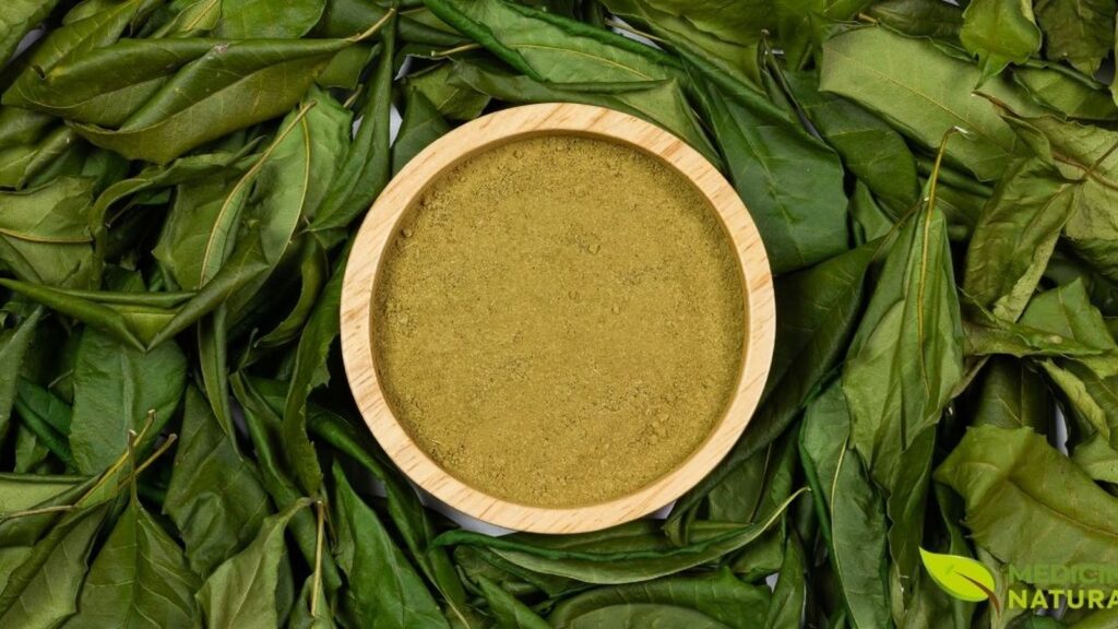 O neem-indiano é uma cultura importante em muitos países, não apenas por seus produtos medicinais, mas também por sua capacidade de reflorestar terras degradadas e melhorar a qualidade do solo, sendo um exemplo de agricultura regenerativa.
