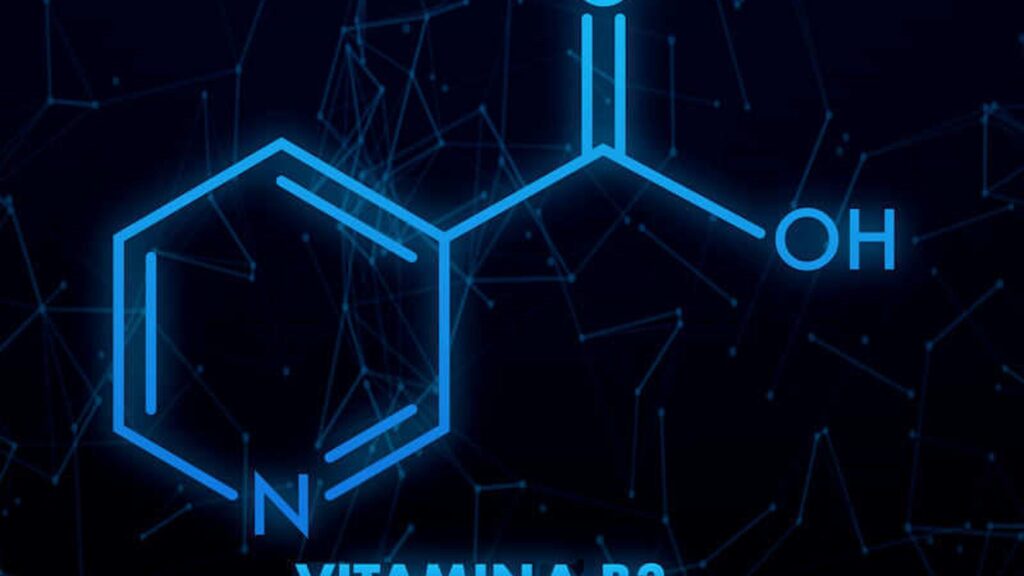 Niacina (Vitamina B3)