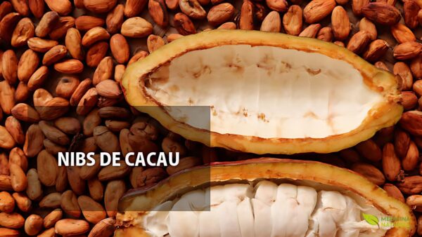 Nibs de cacau