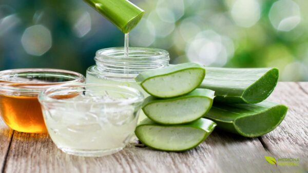 Óleo de Aloe vera (babosa)