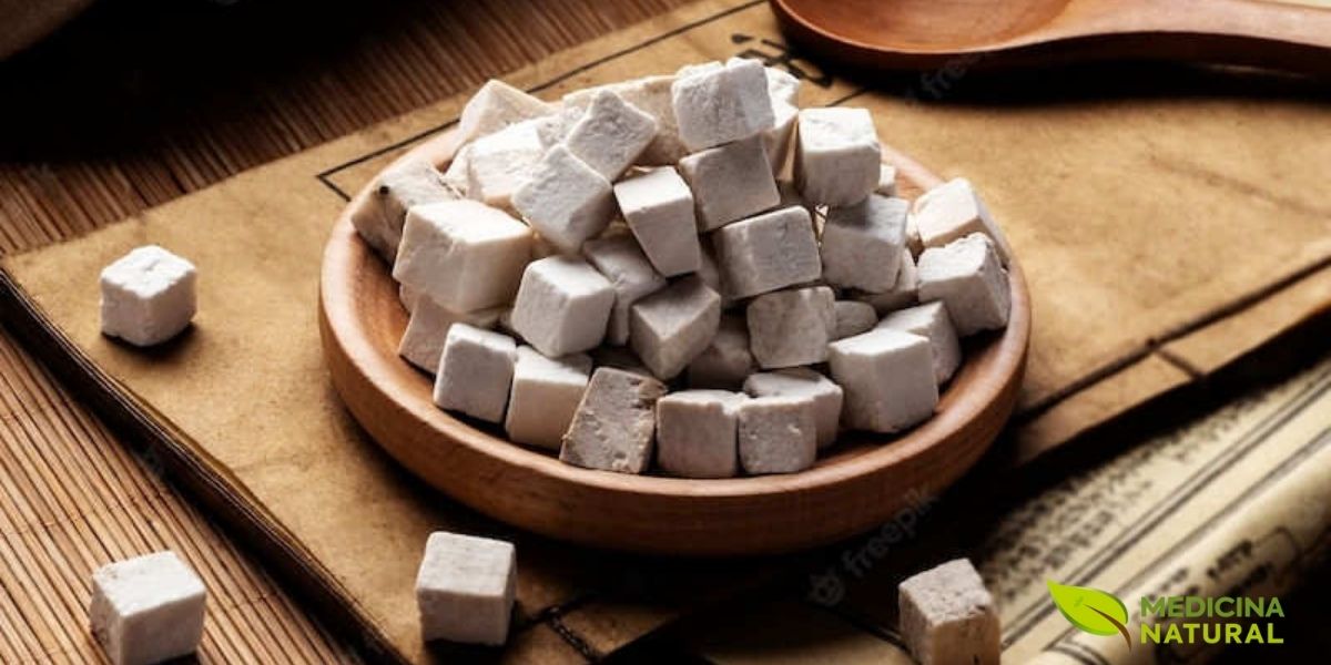 O esclerócio do poria (Poria cocos), a parte do cogumelo que cresce no subsolo e concentra todas as propriedades medicinais. Com aparência de uma batata, este fungo é um tesouro da medicina tradicional chinesa, usado há mais de 2.000 anos por seus efeitos diuréticos, calmantes e, mais recentemente, antitumorais.