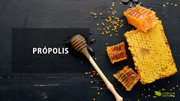 Própolis