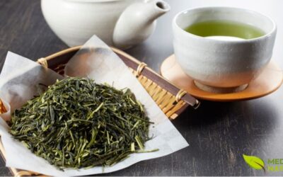 Sencha: Guia Completo do Chá Verde Japonês Mais Consumido