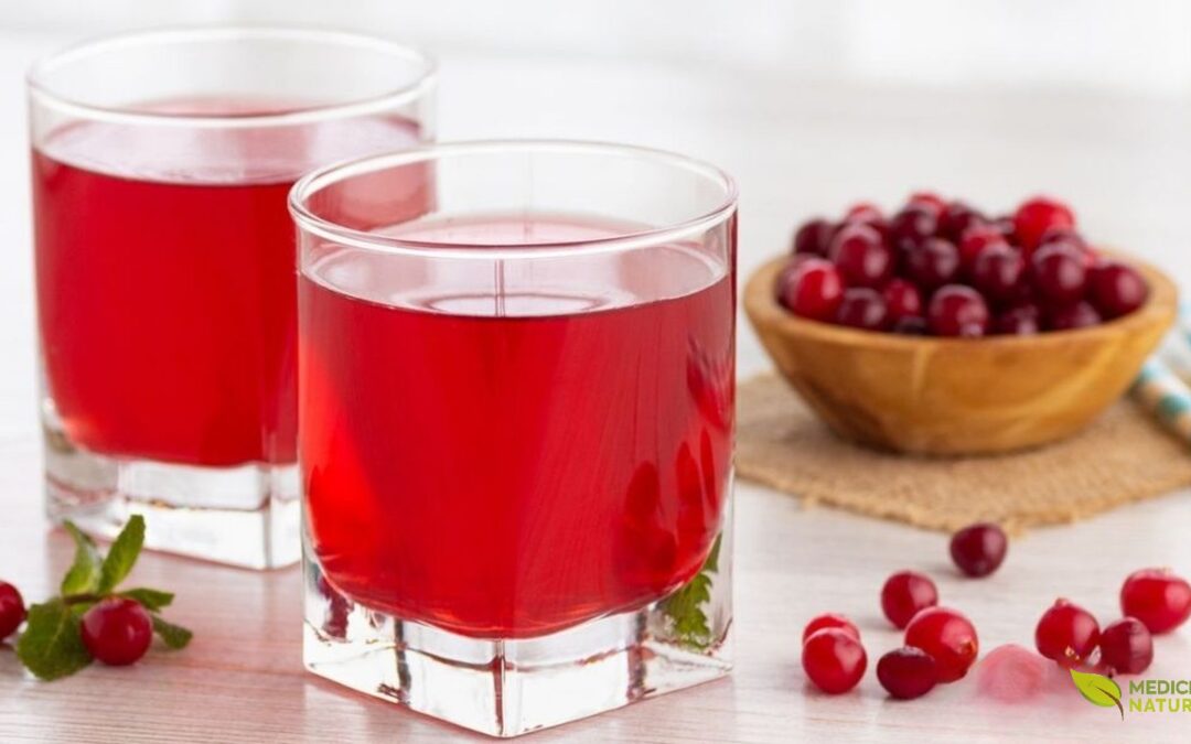 Chá de Cranberry (Vaccinium macrocarpon): Para Que Serve e Como Preparar