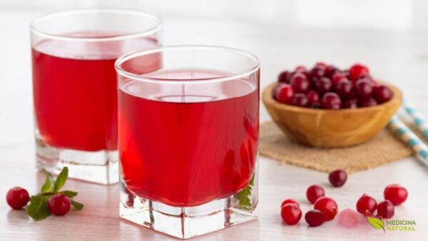 O suco de cranberry é a forma mais popular de consumo medicinal desta planta, sendo rico em proantocianidinas (PACs) do tipo A na concentração de 36 mg por porção de 240 ml. Estudos clínicos demonstram que o consumo regular de suco puro de cranberry (não adoçado ou minimamente adoçado) reduz significativamente a recorrência de infecções do trato urinário em mulheres. O mecanismo de ação envolve a inibição da adesão de bactérias E. coli às células do epitélio urinário. Para fins terapêuticos, recomenda-se o suco puro ou com mínimo de açúcar adicionado, pois o açúcar pode neutralizar os efeitos benéficos.