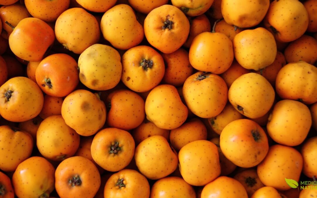 Tejocote (Crataegus pubescens): Fruto Mexicano e Alerta sobre Suplementos