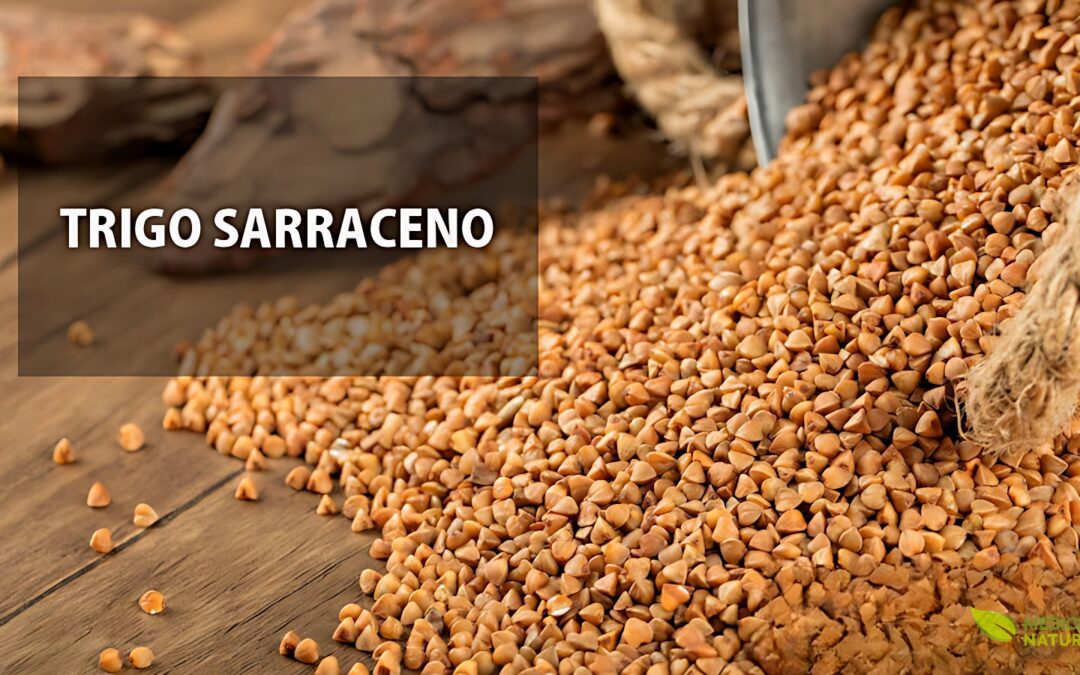 Trigo sarraceno: saiba para que serve