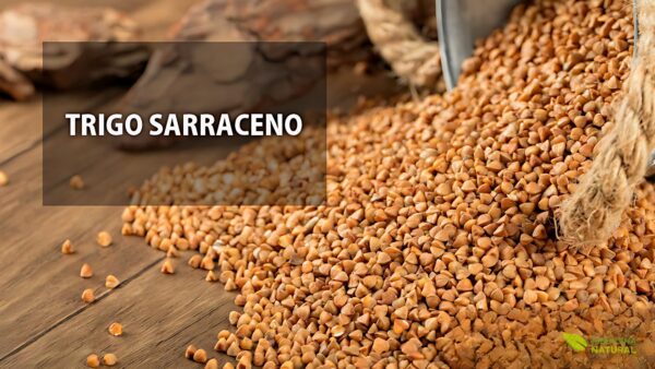 Trigo-sarraceno (trigo-mourisco) - Fagopyrum esculentum